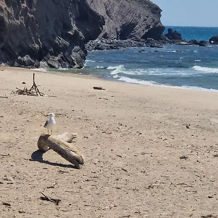 아파트 Les Pieds Dans L'eau