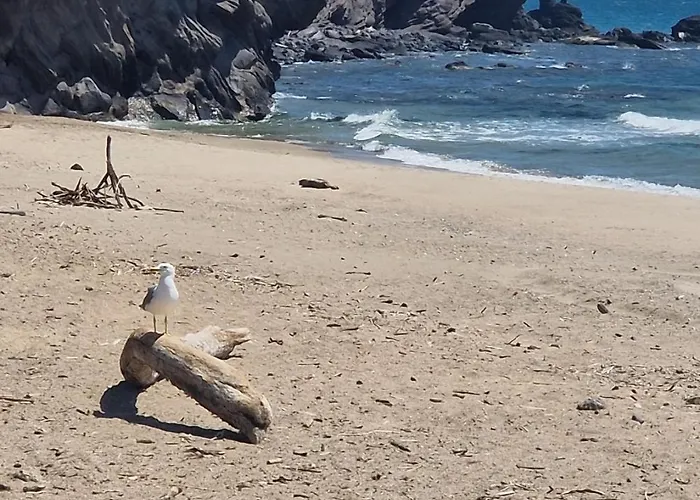 Διαμέρισμα Les Pieds Dans L'eau